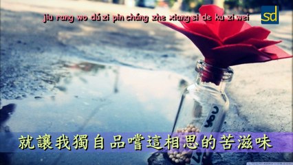 別讓我承受一生的罪 - 金澤 | Đừng để anh chịu tội một đời - Kim Trạch | Best Chinese Song