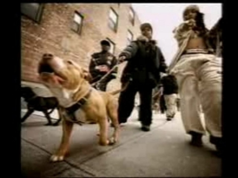 Dmx & Aaliyah - Come Back In One Piece -