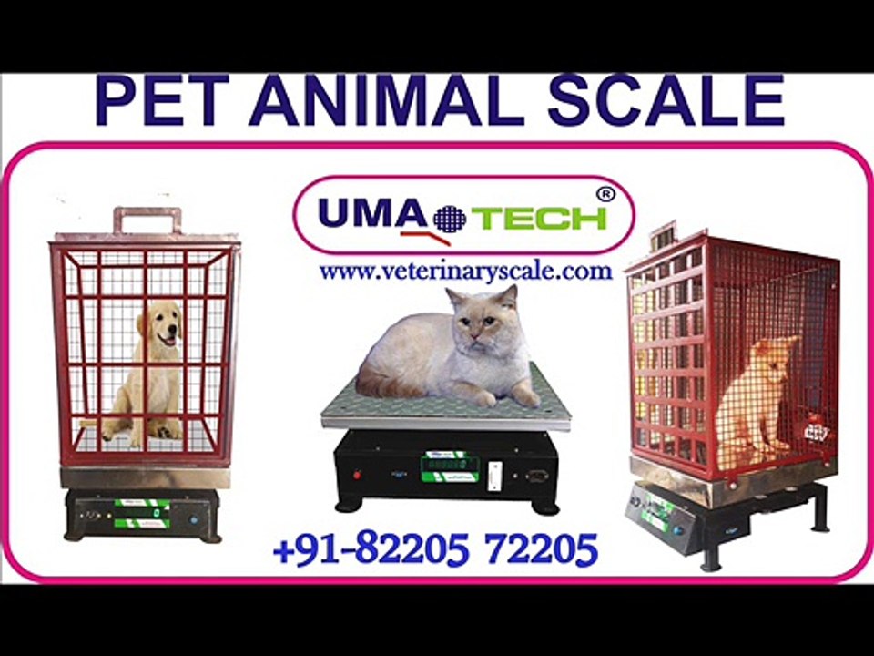 Dog Weighing Scales Manufacturers and Suppliers INDIA