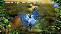 Finger Family Nursery Rhymes For Kids | Rio vs Angri Birds Cartoon Children Nursery Rhymes