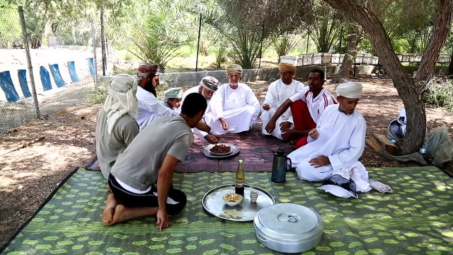 قصة نجاح ل خليفة الربيعي في مجال تربية نحل العسل