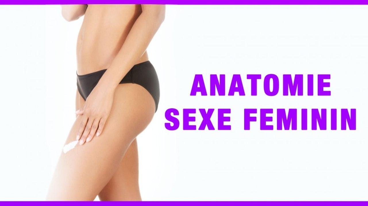 Anatomie du sexe féminin (Hélène Jacquemin-Le Vern)