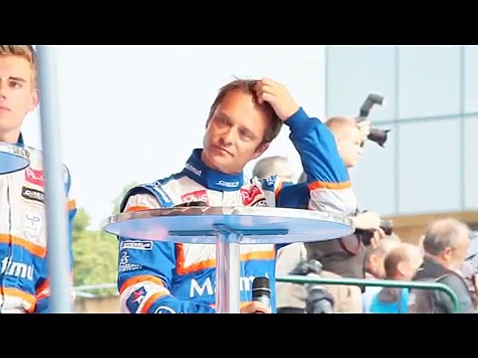 david Hallyday 2011