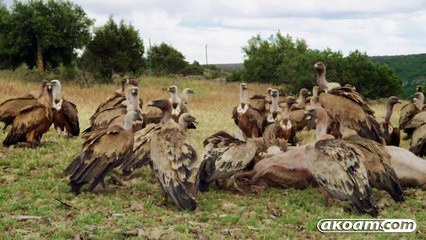 السلسلة الوثائقية : غزو الأجواء الحلقة الثالثة