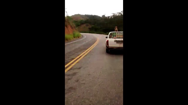 Vídeo mostra cachorro sendo carregado em cima do carro sem proteção