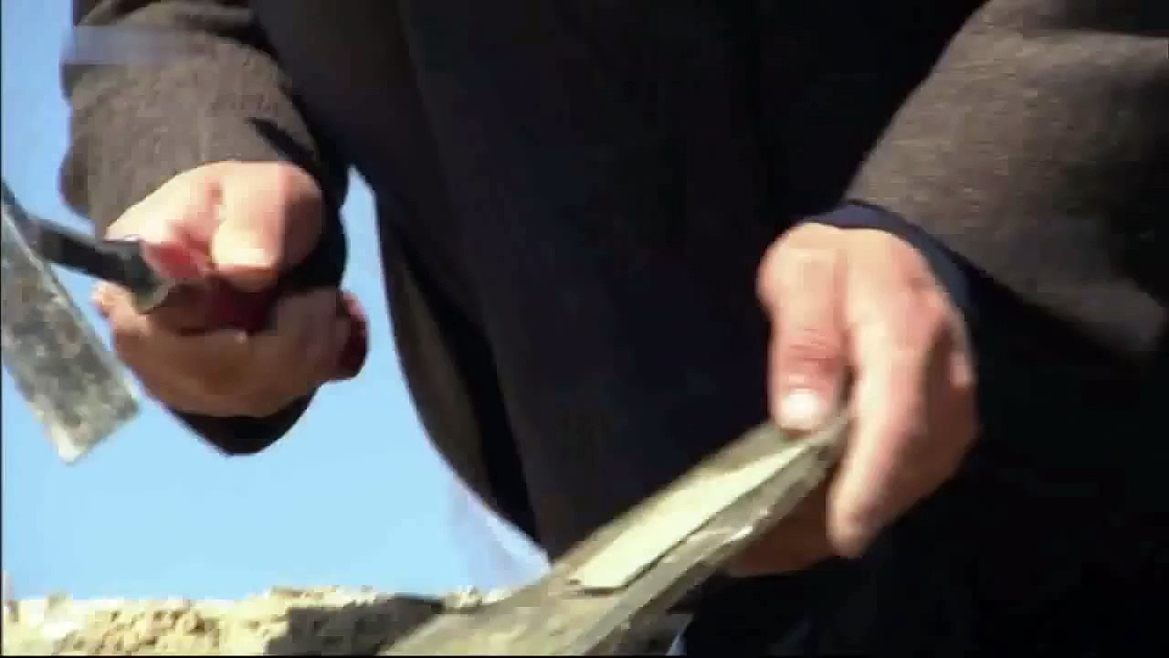 Das Raetsel der fliegenden Dinosaurier