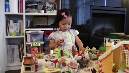 Girl And Sylvanian Families