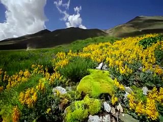 DEOSAI - The Last Sanctuary (English Documentary) (HD)2