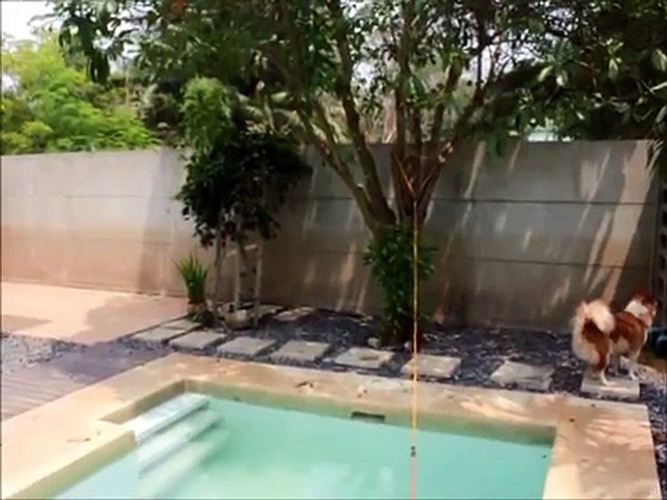 Transformer sa piscine en piscine sans fin pour 2$