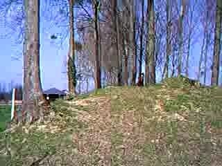 quouala trouve potes tayoo