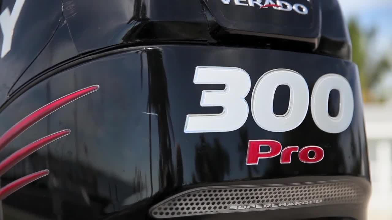 Driven to Fish - Mercury 4-Stroke