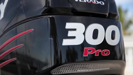 Driven to Fish - Mercury 4-Stroke