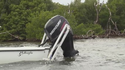 Driven to Fish - Power Pole