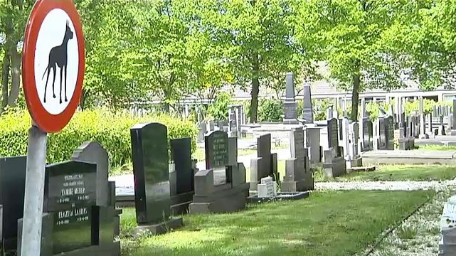 Ik sta te trillen op mijn benen nu, omdat ik hem steeds zie overvliegen - RTV Noord