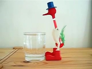 Drinking bird
