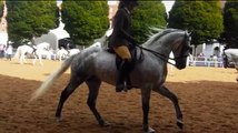 RDS Dublin Horse Show 2010!!