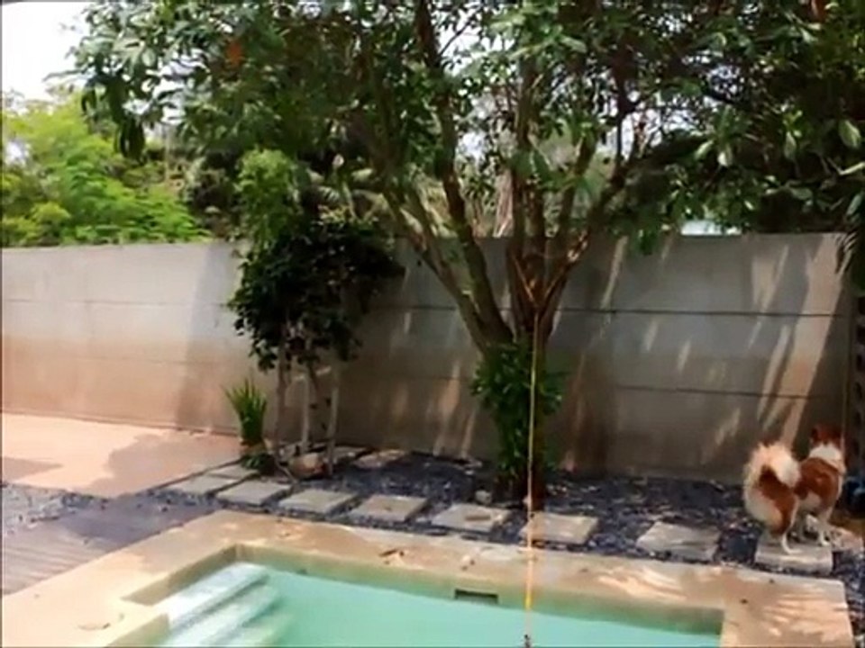 Transformer sa piscine en piscine sans fin pour 2$