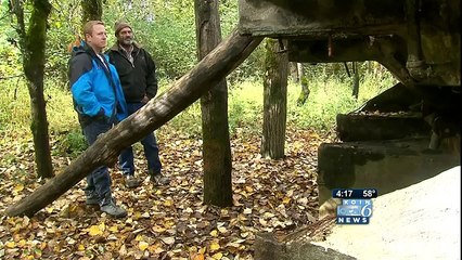 Misteriosa navicella  sull'isola di Suavie