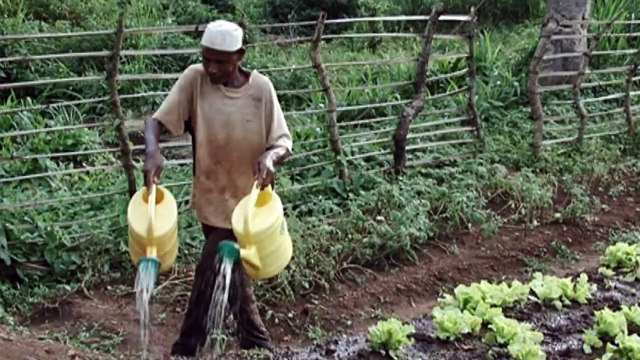 'Wall' of religious hatred divides Central African town