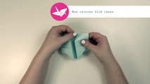 Origami - Hướng dẫn cách gấp con bướm bằng giấy