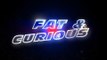 FAT & CURIOUS - GTA V TRAILER (FAST & FURIOUS)