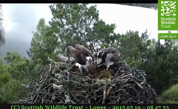 Bandicam Crack Updated May 2015 [UPDATED]