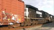 Railfanning Northwest Indiana, 01.19.13: SS, NS, CSX, CN, CP, BNSF, and the N&W Heritage Unit!