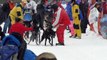2011 Kalkaska Winterfest Dog Sled Racing Dog Sledding Michigan Siberian Husky