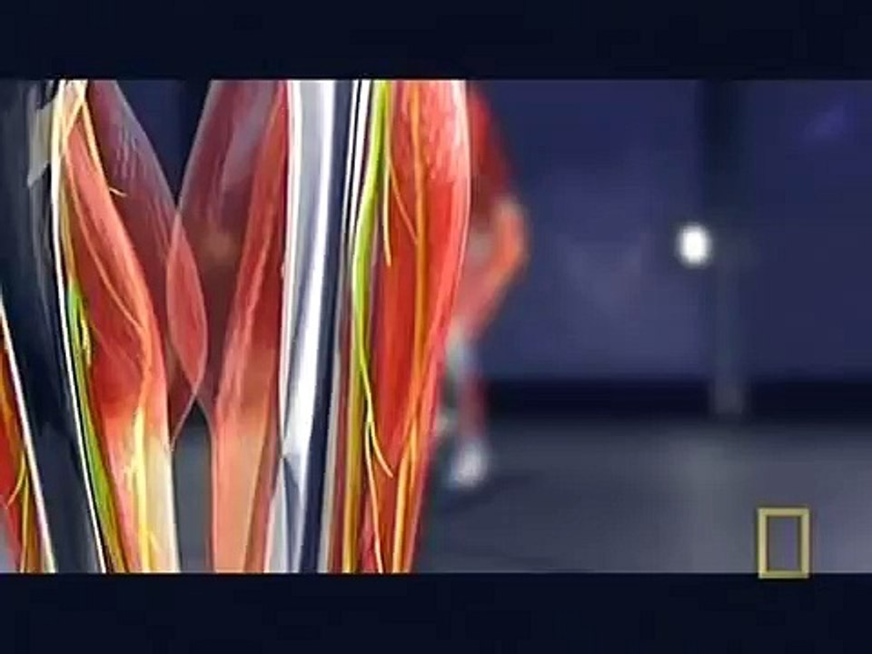 Fight Science - Bo Staff