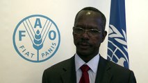 Interview with Faisal Hassan Ibrahim Minister for Livestock, Fisheries and Rangelands of Sudan