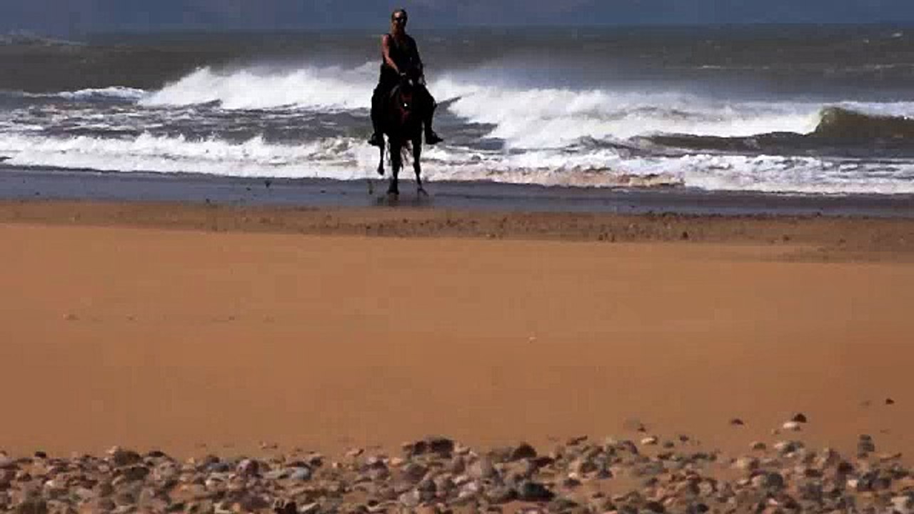 Horse Riding in Sidi Kaouki