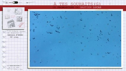 Bastien Lucas - A tes souhaits (Ceci est un promoscope*)