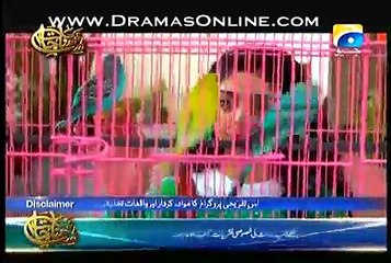 Judaai Episode 10 full on Geo Tv 1st June 2015