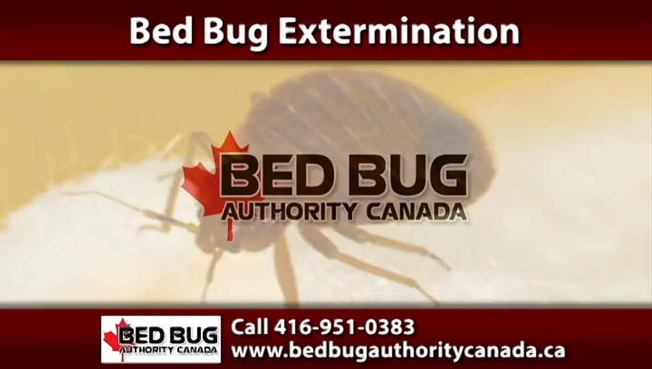 ONTARIO BED BUG EXTERMINATOR