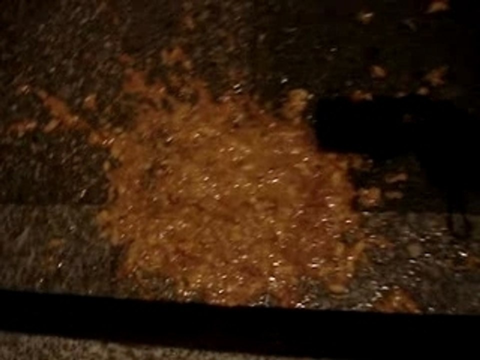 Vomito à bourg en bresse