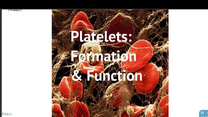 Platelets- Formation & Function.mp4