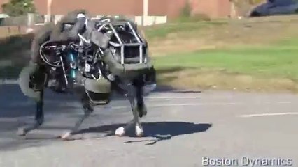 Dört nala koşan robot D