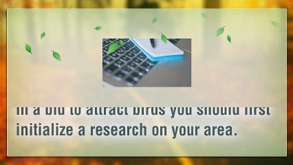 How To Attract Birds To Your Yard