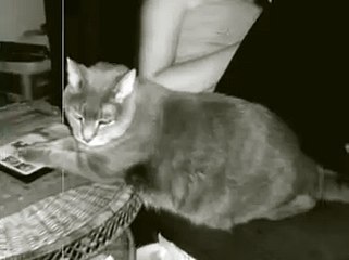 It's Not Easy To Say Goodbye