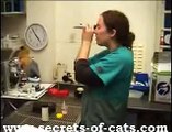 Litter Kwitter - The Original Cat Toilet Training System