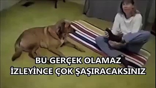İZLEYİNCE ÇOK ŞAŞIRACAKSINIZ