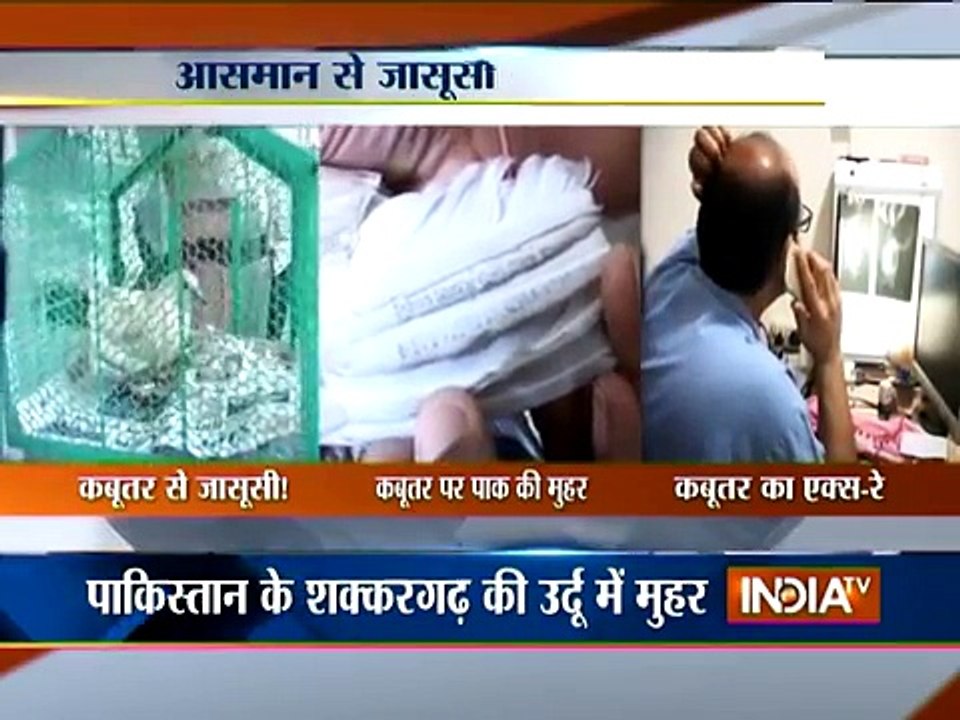 Spy Pigeon from Pakistan Captured in Pathankot - India TV