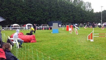 Ice agility2 trophée Mai 2015