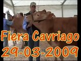 Vacche Rosse Baiocchi Cavriago 2009 - 1^ classificata cat. vacche in latte fino 
