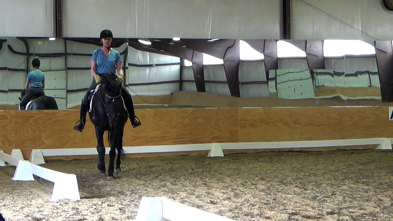 Anne Howard Clinic, May 23, 2015 Windswept Farms, Blackforest