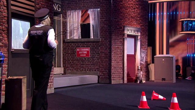 Stunt double dog on Britain's Got Talent Jules and Matisse Grand Final _ Britain's Got Talent 201