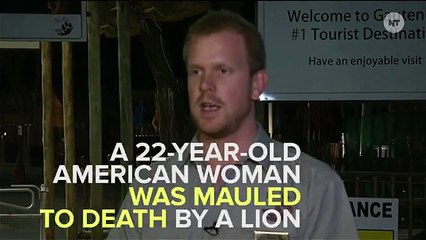 Lion Kills American Woman In South Africa