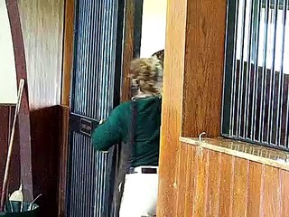 Smarty Jones @ Three Chimneys