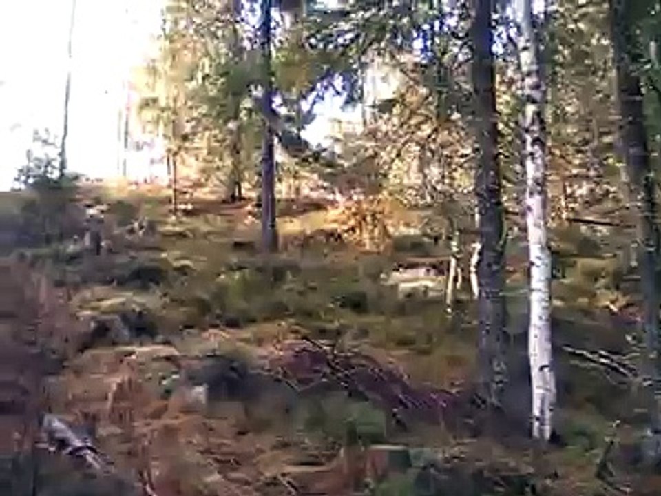 älgjakt med ståndskall