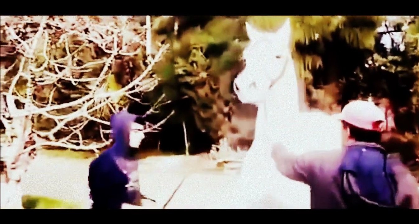 sexxyyy video 2015 nik English   best funny animals compilation   funny videos 2014 HD Part19